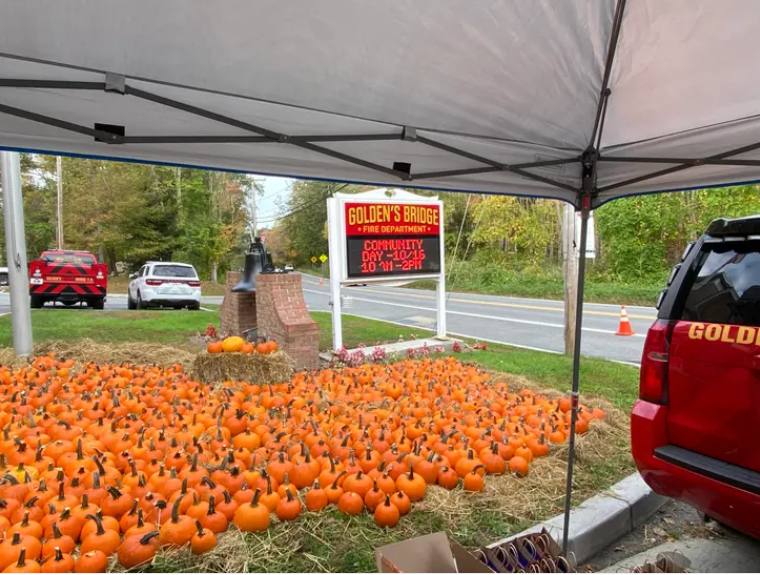 The overstocked Golden's Bridge Fire Department pumpkin patch before children arrived to pick their own pumpkin at the annual Community Day event at the firehouse. (GBFD) 